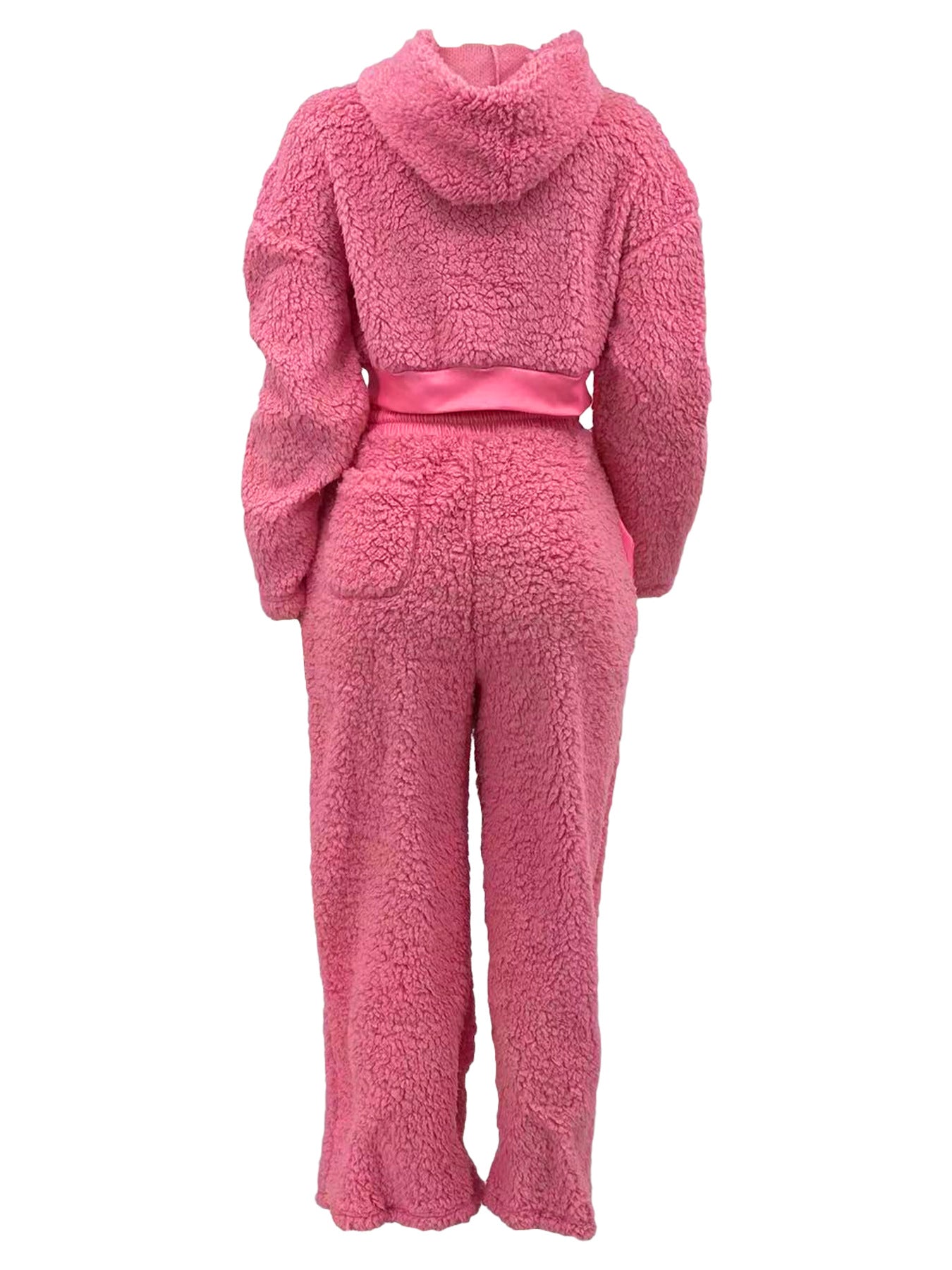 Casual Daily Women's Streetwear Solid Color Polyester Pocket Sweatshirt Sets Pants Sets